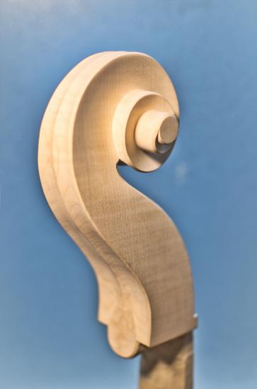 Die Schnecke eines Streichinstruments